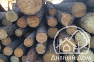 лес кругляк в воскресенске